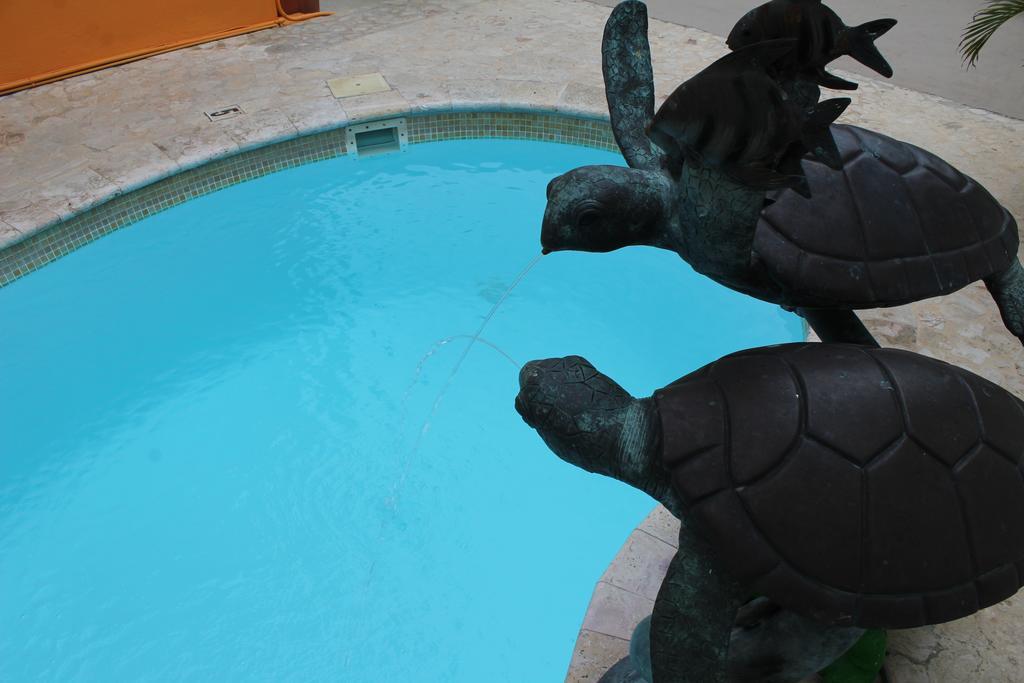 Parador Turtle Bay Inn La Parguera Exteriér fotografie